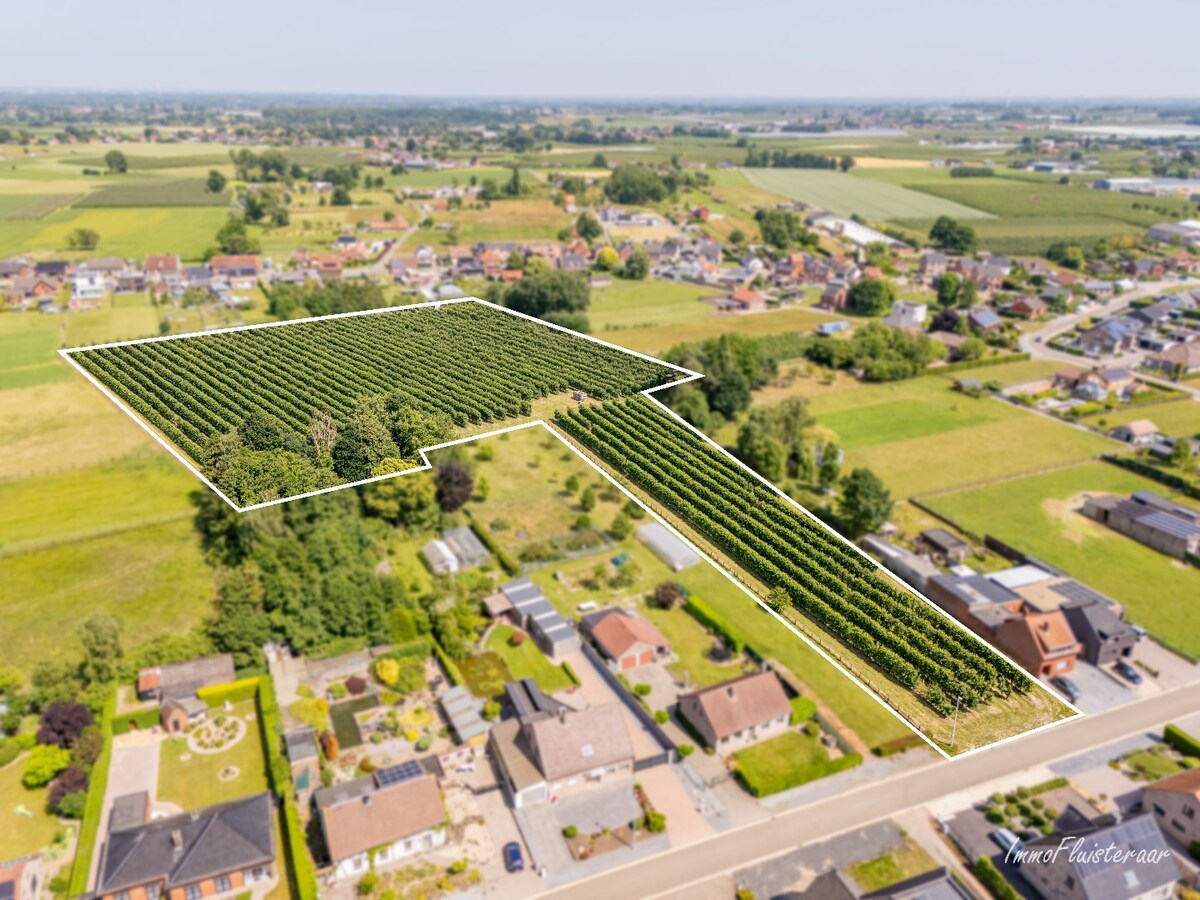 Land for sale in Herk-de-Stad