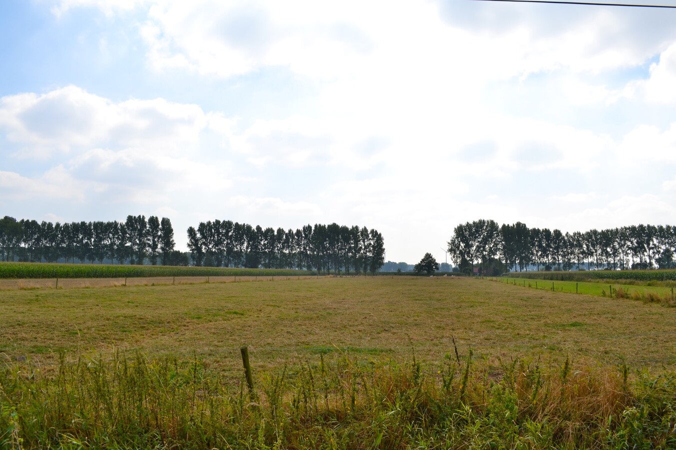 Bouwgrond en akkerland geschikt voor land of tuinbouwuitbating op ca. 2,2Ha te Sint-Laureins 