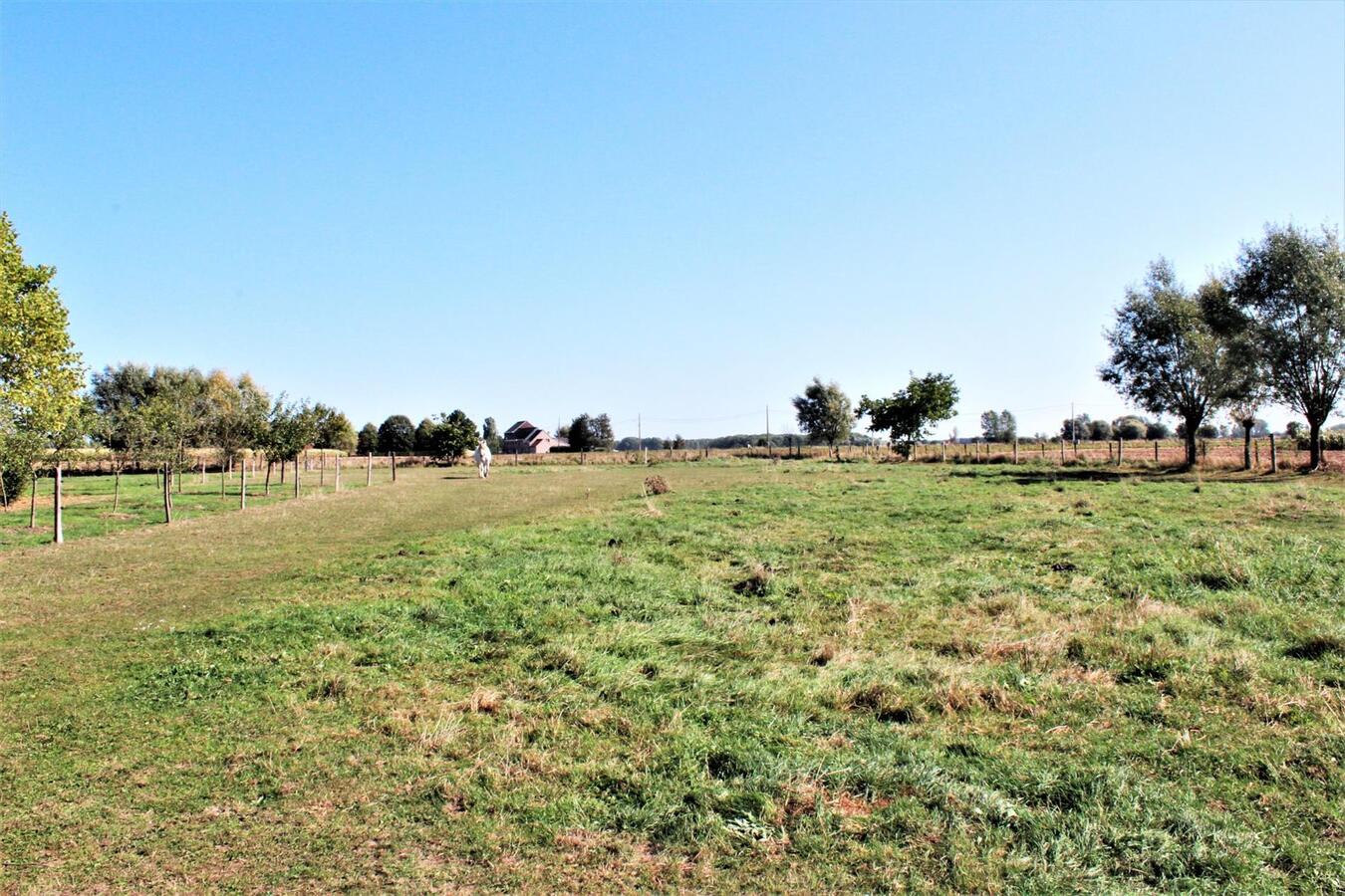 Landelijk gelegen hoeve met schuur en weilanden op ca. 1,28ha te Meise (Vlaams-Brabant) 