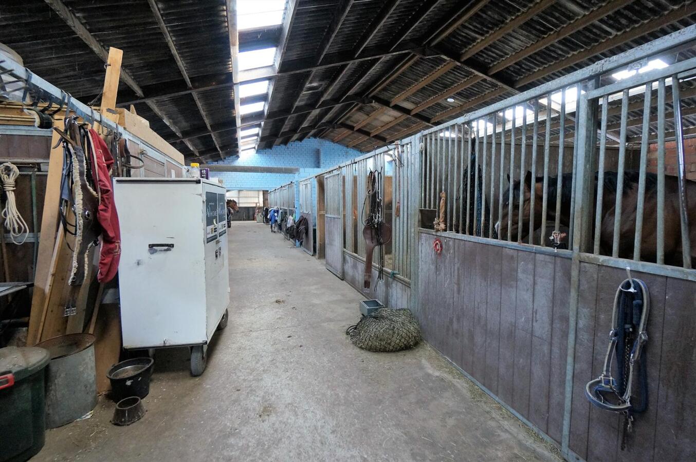 Hippisch complex op 2,6 ha te Loenhout (Wuustwezel) 