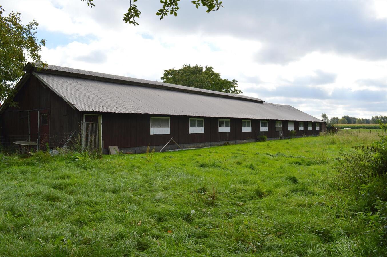 Te renoveren woning met loods en weide op 7.327m&#178; te Zele 