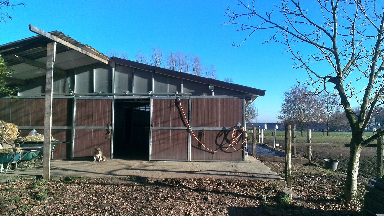 Weide met stalgebouw, buitenpiste en paddock op ca.1,5ha te Kontich 