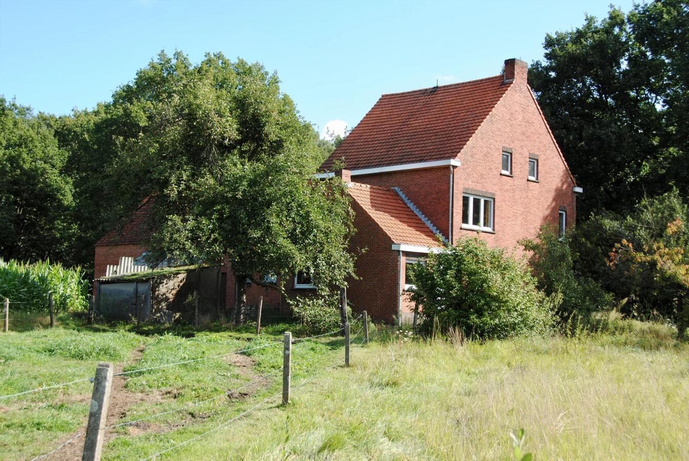 IN OPTIE: Te renoveren boerderij op ca. 4,1ha te Geel (Antwerpen) 