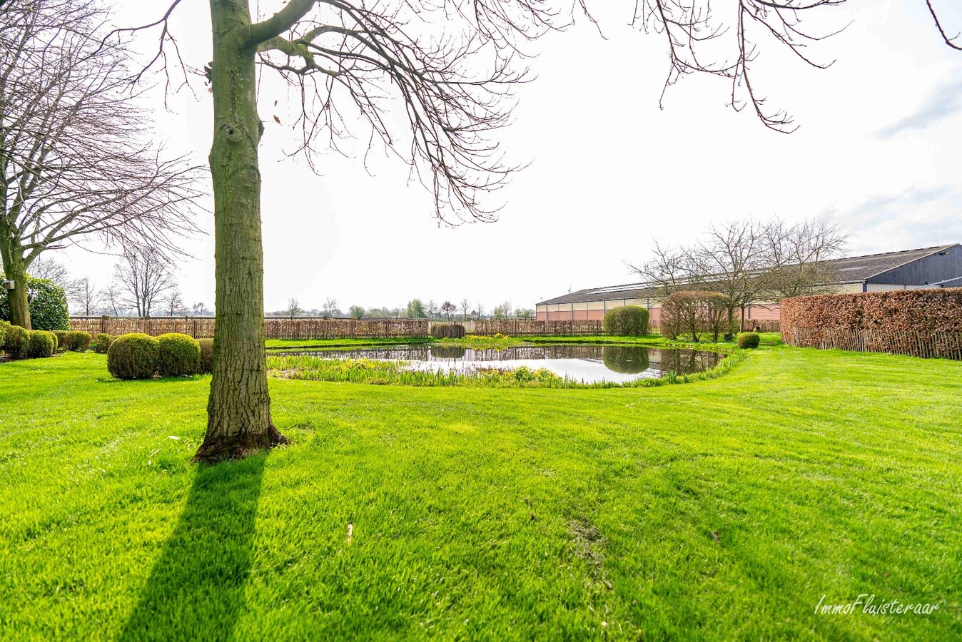 Exclusief landhuis met paardenfaciliteit op ca. 2,6 ha in Wuustwezel, (met mogelijkheid tot aankoop van ca. 6 ha aangrenzend weiland) 