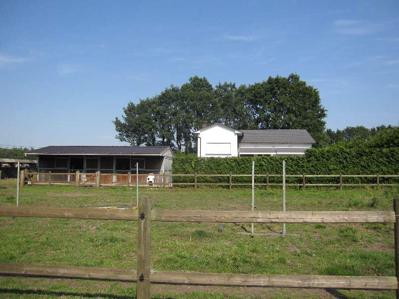 Landhuis met 2 stallen en buitenpiste te Geel 