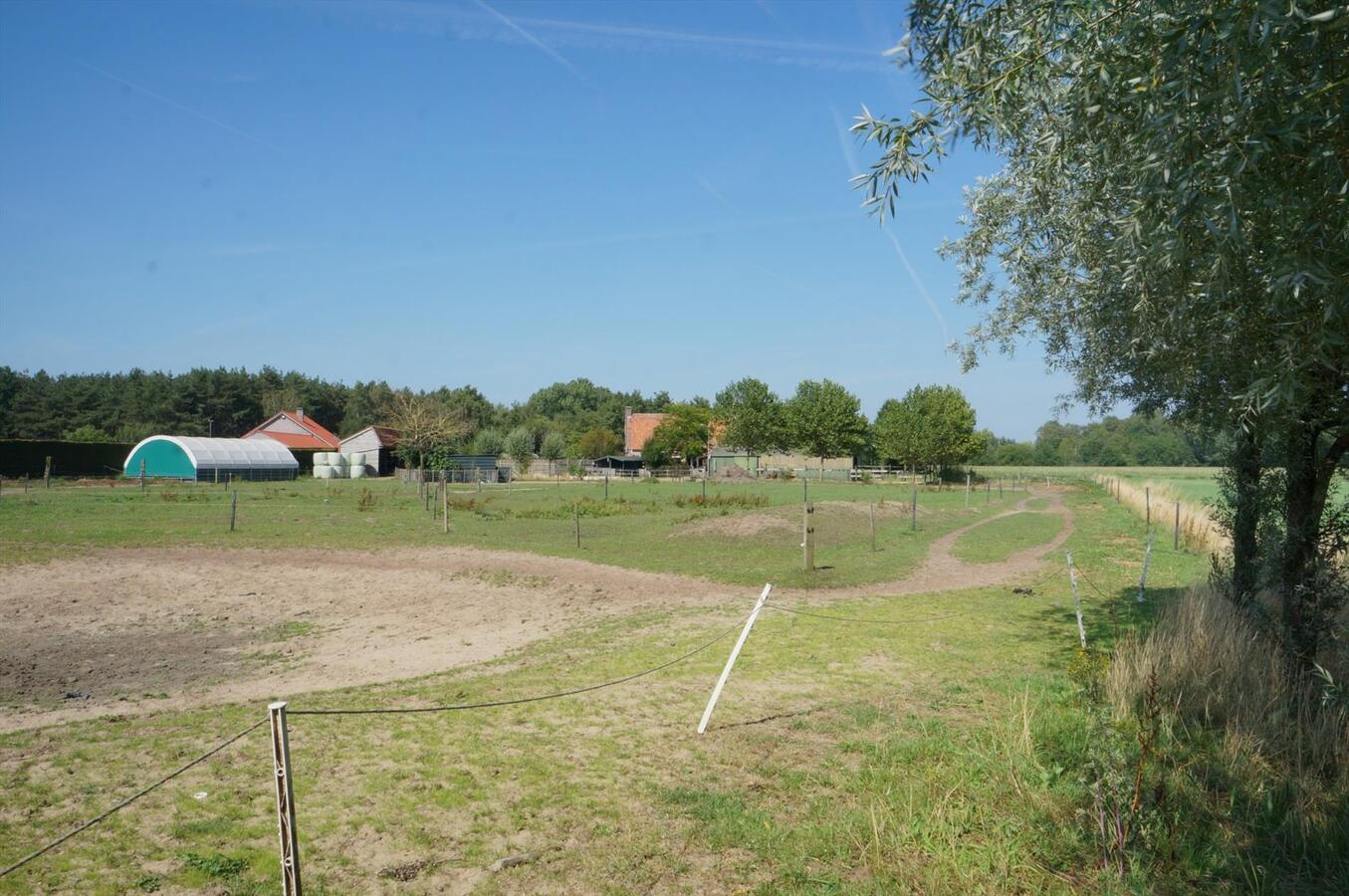 Karakteristieke Vlaamse hoeve op ca 1,21 ha te Merksplas 