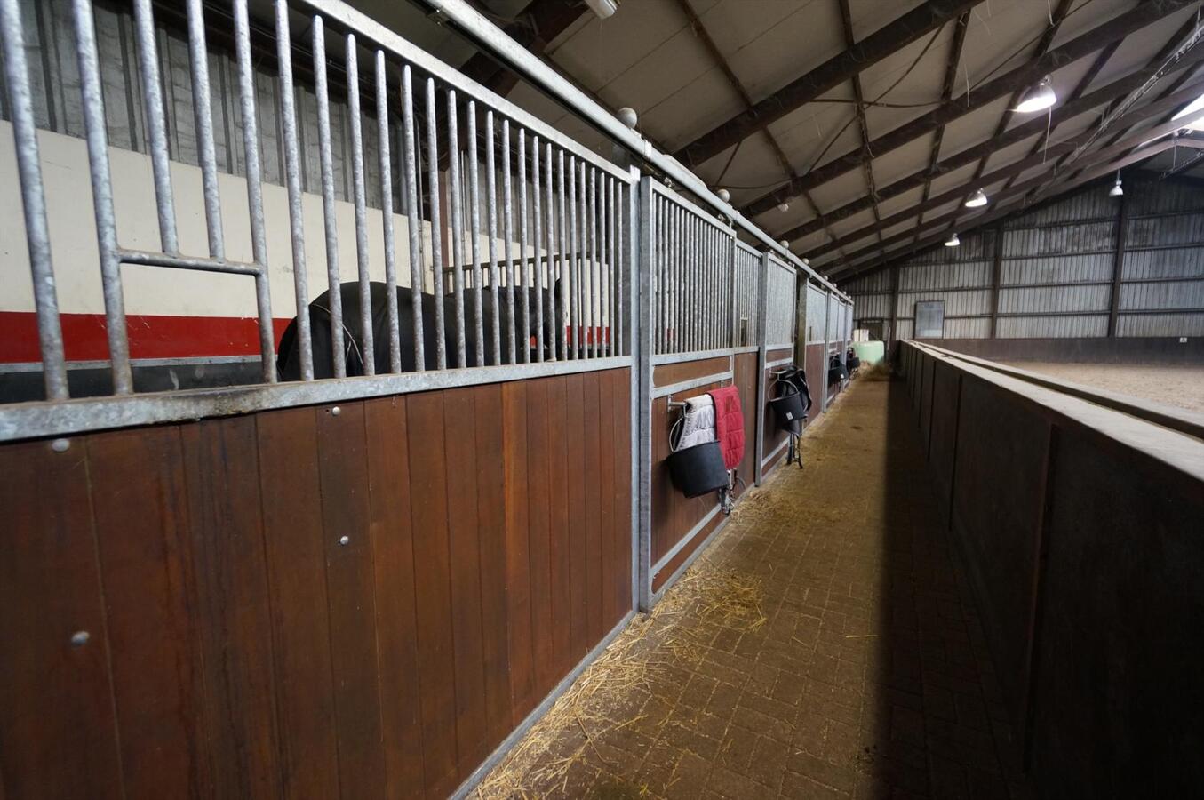 Equestrian complex on approximately 3,4 ha in Nuenen (North-Brabant NL) 