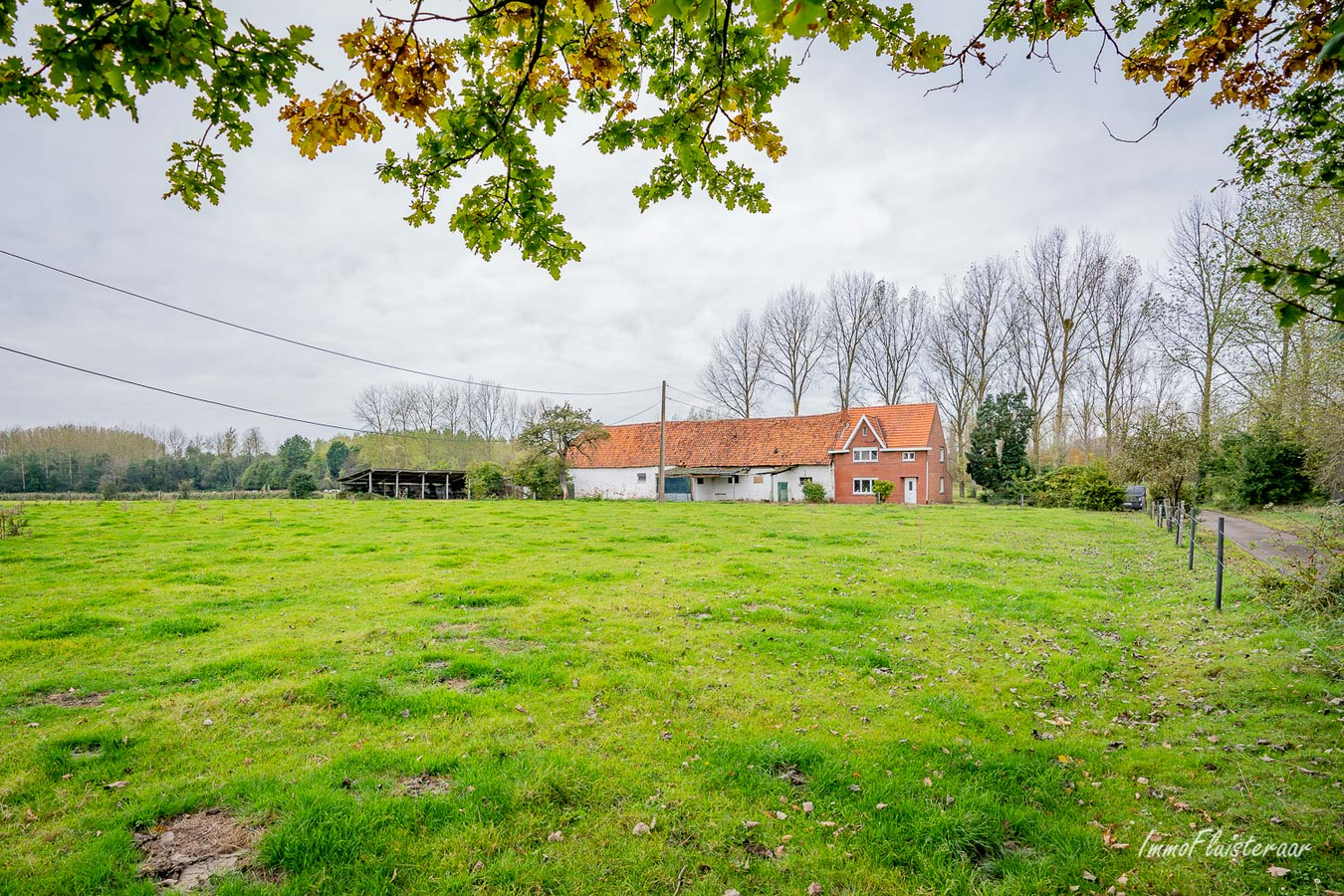 IN OPTIE - Te renoveren hoeve met woning, stallen, schuur en grond op ca. 5,6ha te Rotselaar (Vlaams-Brabant) 