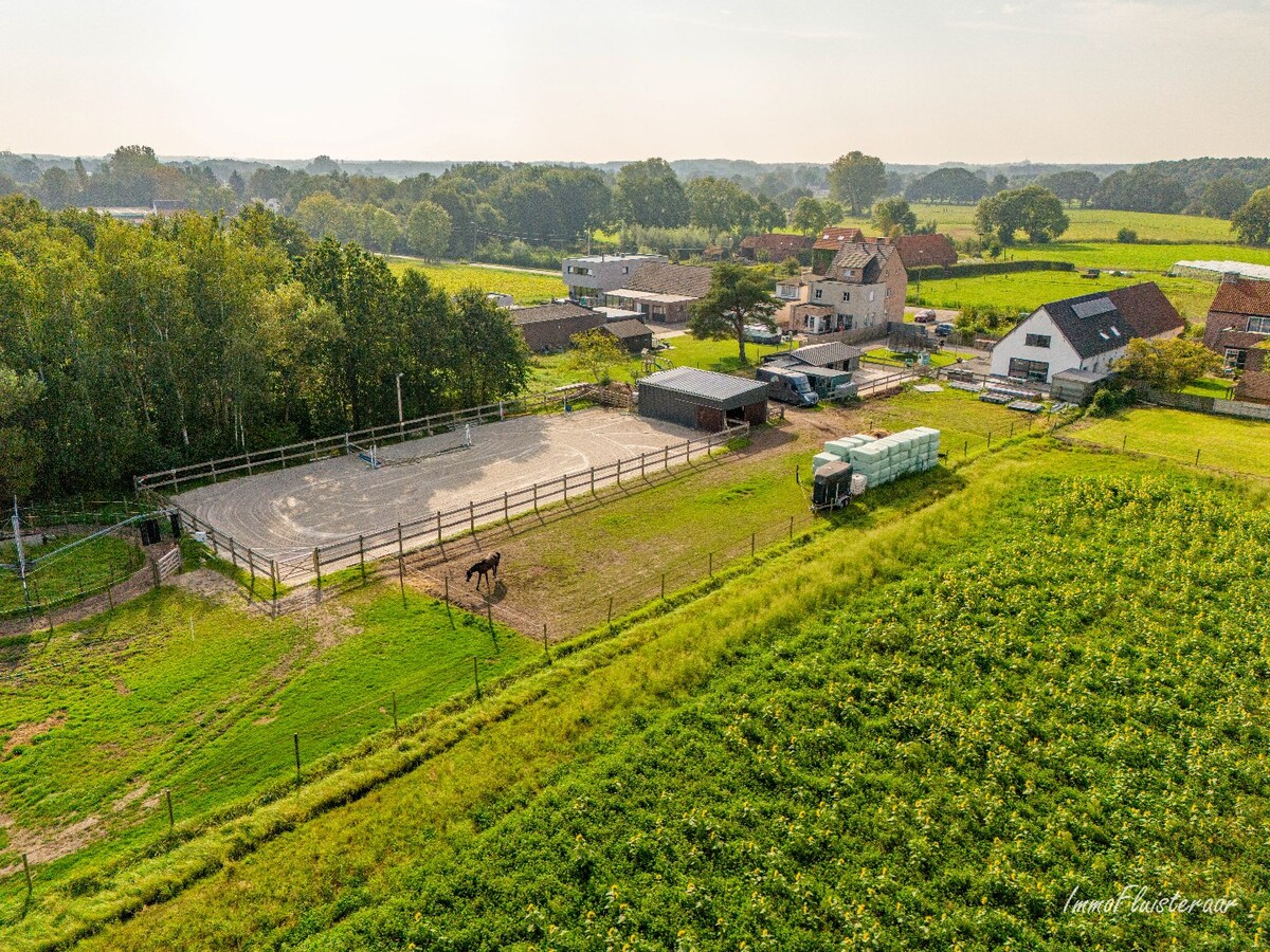 Halfopen woning met stallen, piste en weides op ca. 1,5 ha te Sint-Katelijne-Waver (Optioneel bij te kopen weide van ca. 1 ha) 