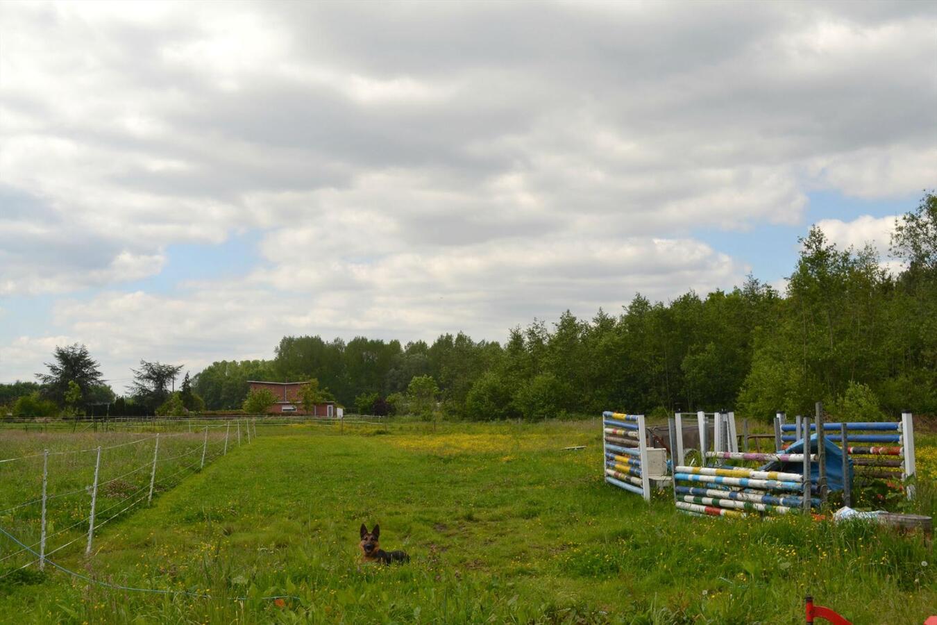 Grondig te renoveren hoeve of nieuwbouw met weide op ca. 1,2ha te Sint-Katelijne-Waver 