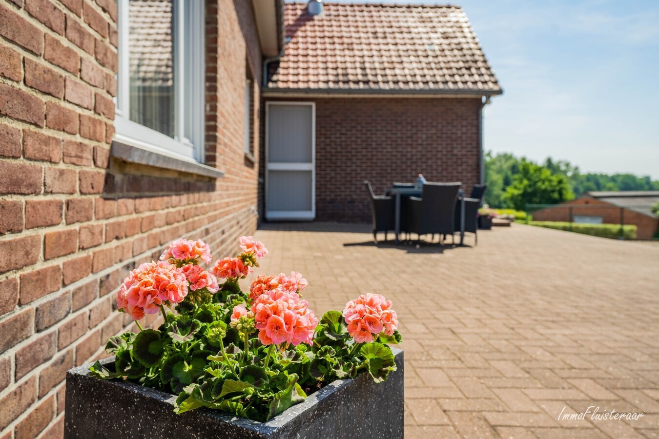 Charmante woning met stal en grond op ca. 1,63 ha te Opglabbeek (Oudsbergen) 