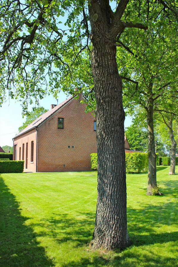 Landelijk gelegen woonhuis met bijgebouw op ca. 1Ha te Herenthout 