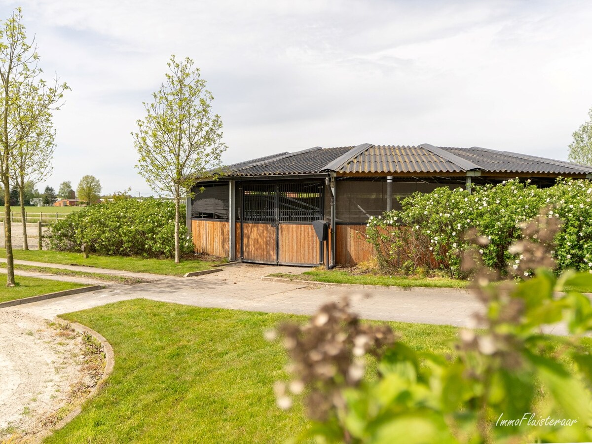 Beautiful equestrian accommodation on appr.  2.4 ha/5,94 acres in Meerle/Hoogstraten 