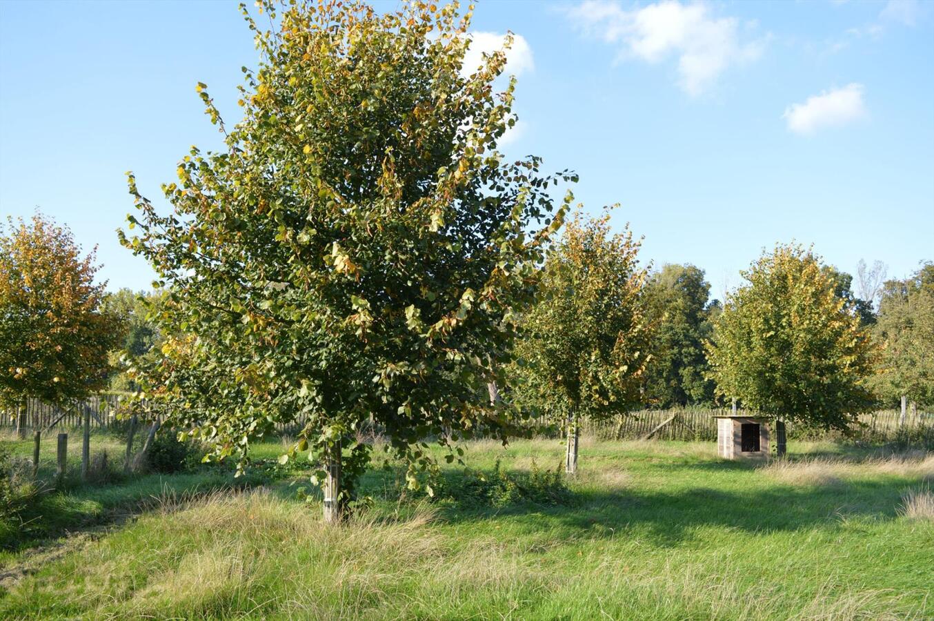 Hoeve met bijgebouwen op ca. 1,93ha te Lennik, Gaasbeek 