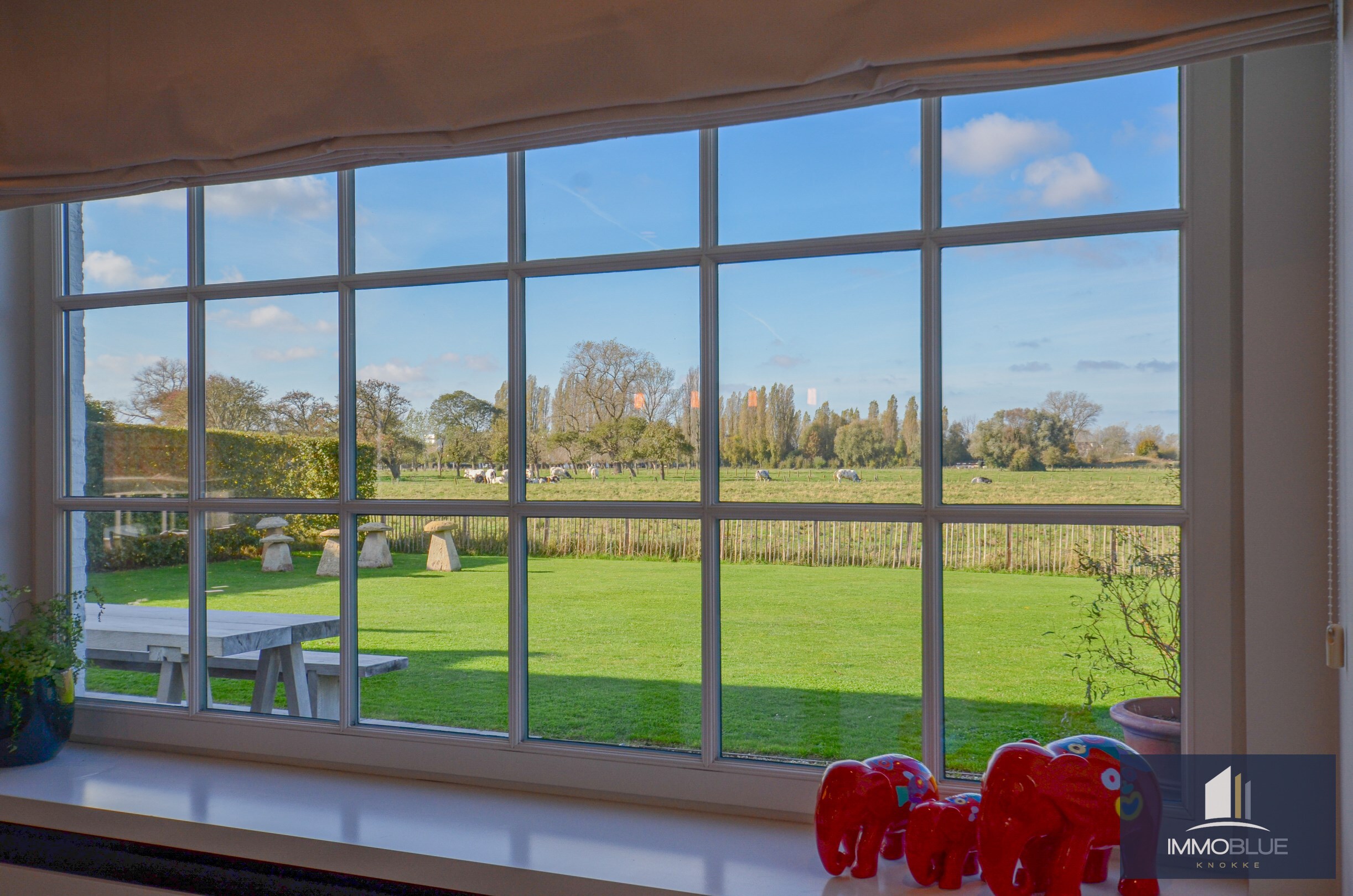 Villa &#233;l&#233;gante, pr&#234;te &#224; emm&#233;nager, avec piscine et une vue imprenable sur les polders. 