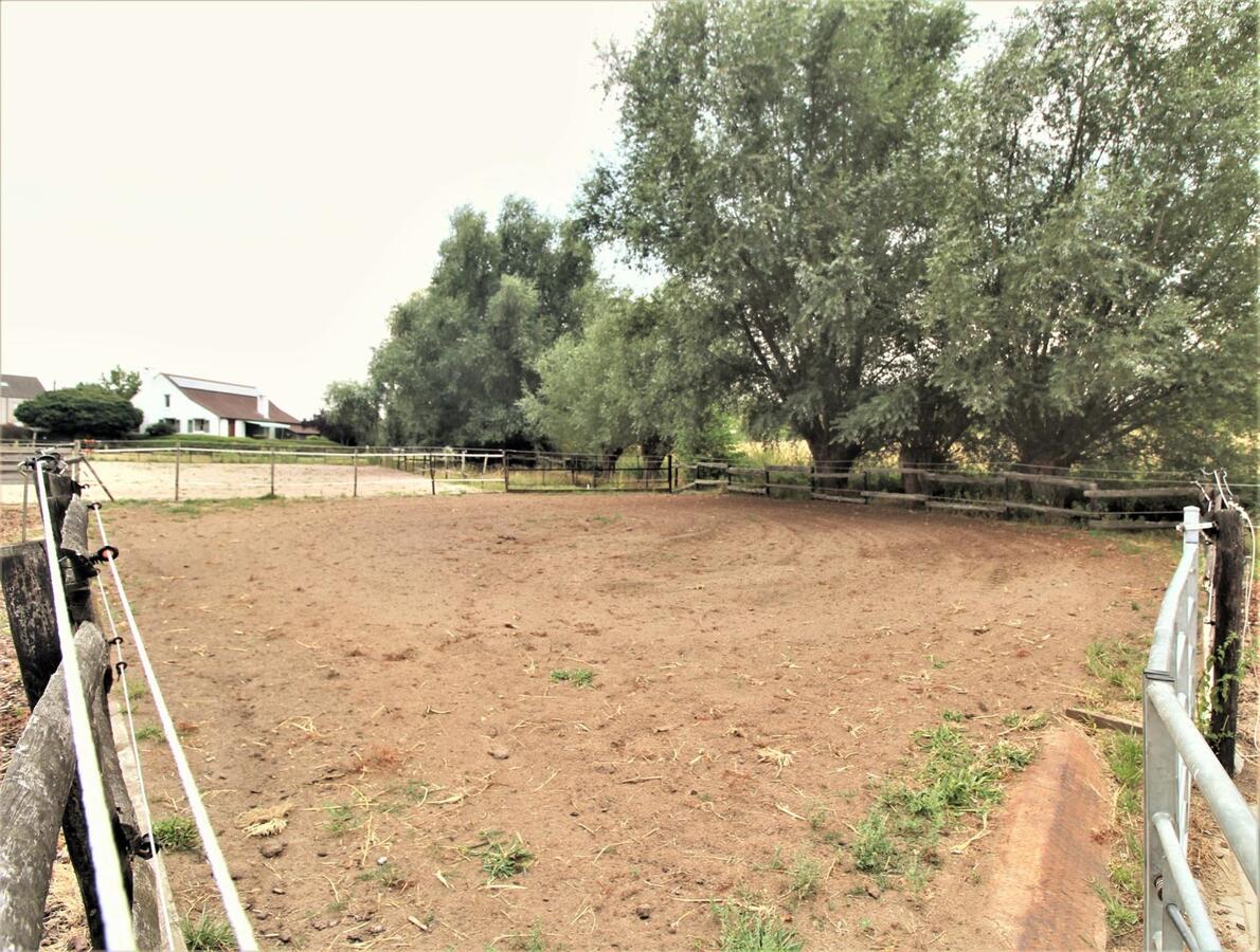 Renovated house with stable building, large barn and outdoor arena on approximately 43a in Boutersem (Flemish Brabant) 