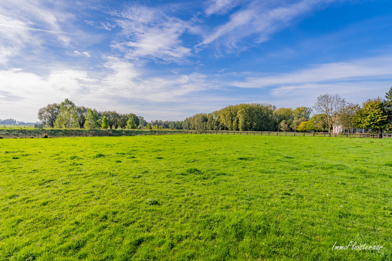 Te renoveren hoevewoning met loods, aanhorigheden en weiland op meer dan 80a te Wolvertem (Meise; Vlaams-Brabant) 