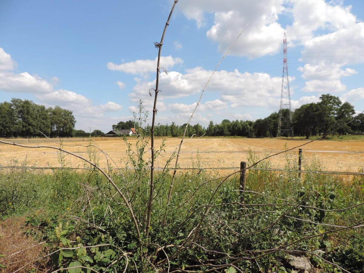 Te renoveren boerderij met paardenstallen op ca. 3ha te Bocholt 