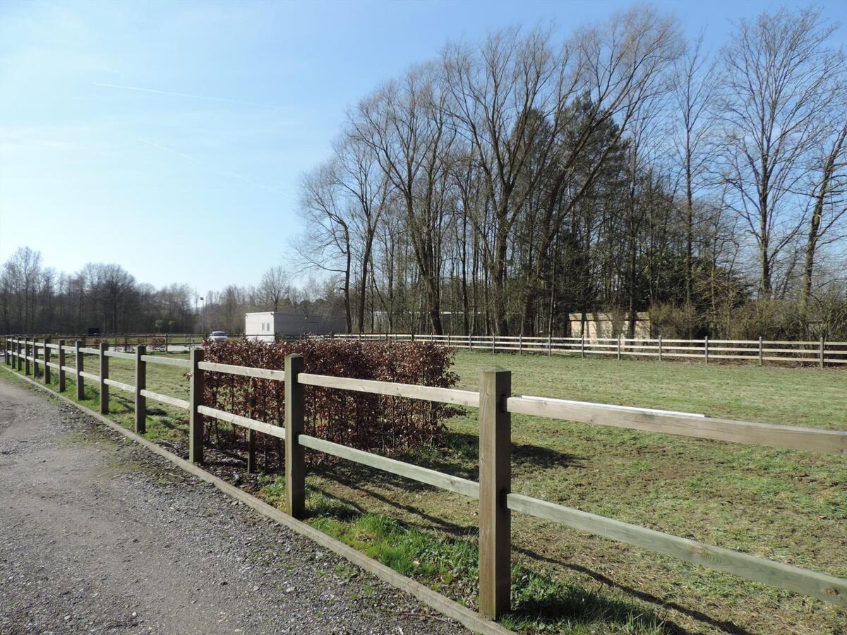 Prachtige gezinswoning met paardenstallen en buitenpiste op ca. 2,61ha te Lummen 