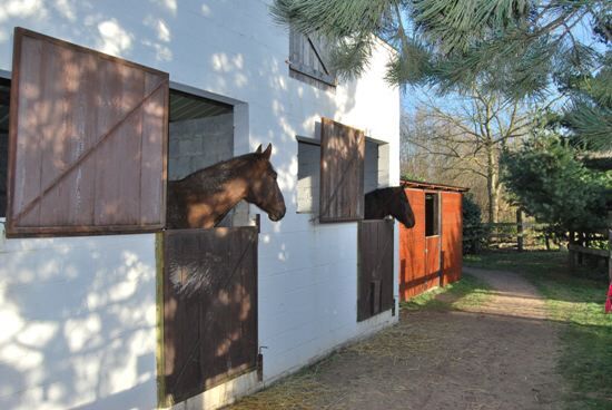 Farm sold in Bever