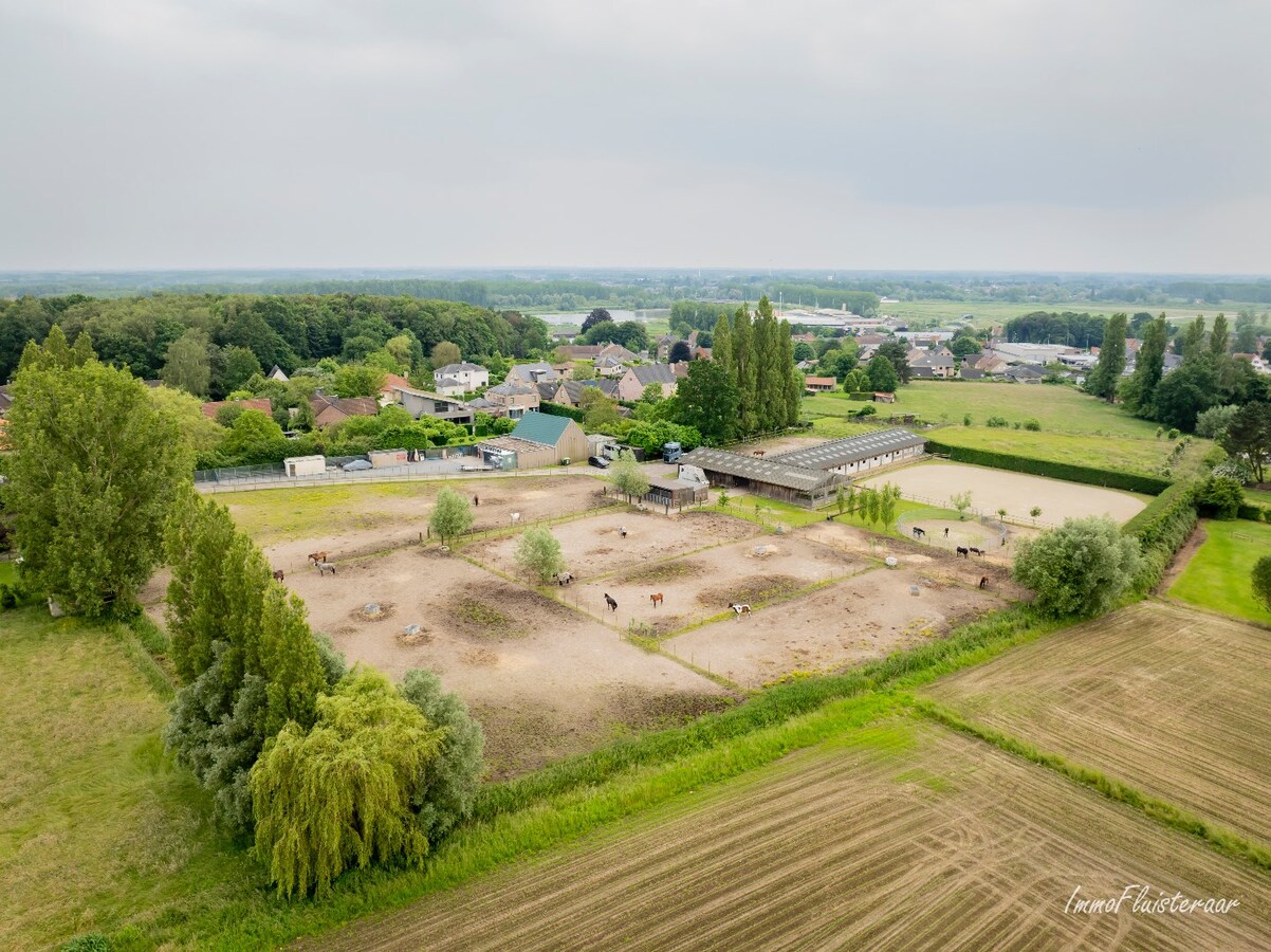 Charmante woning met hippisch complex op ca. 1,5 ha te Temse 