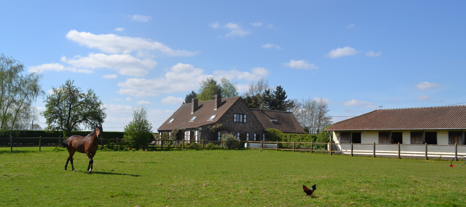 Hippisch complex te Huise (Zingem) op ca. 2Ha 