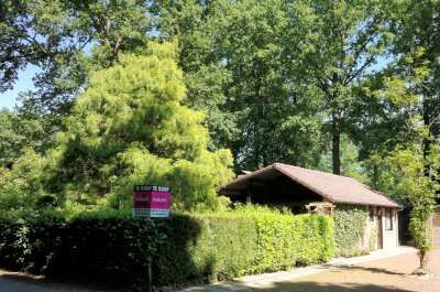 Sfeervolle chalet in het groen 