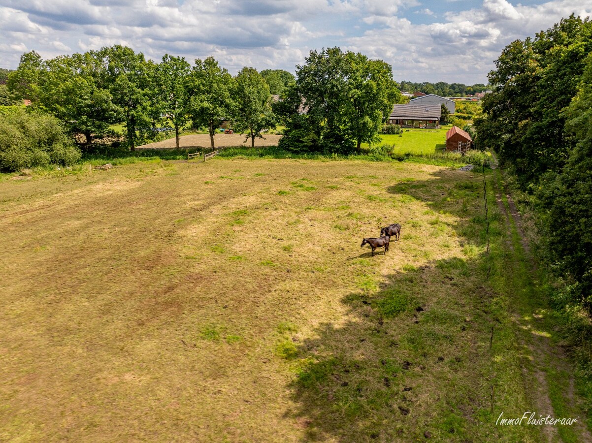 Luxe villa met paardenstallen op ca. 76a te Rijmenam 