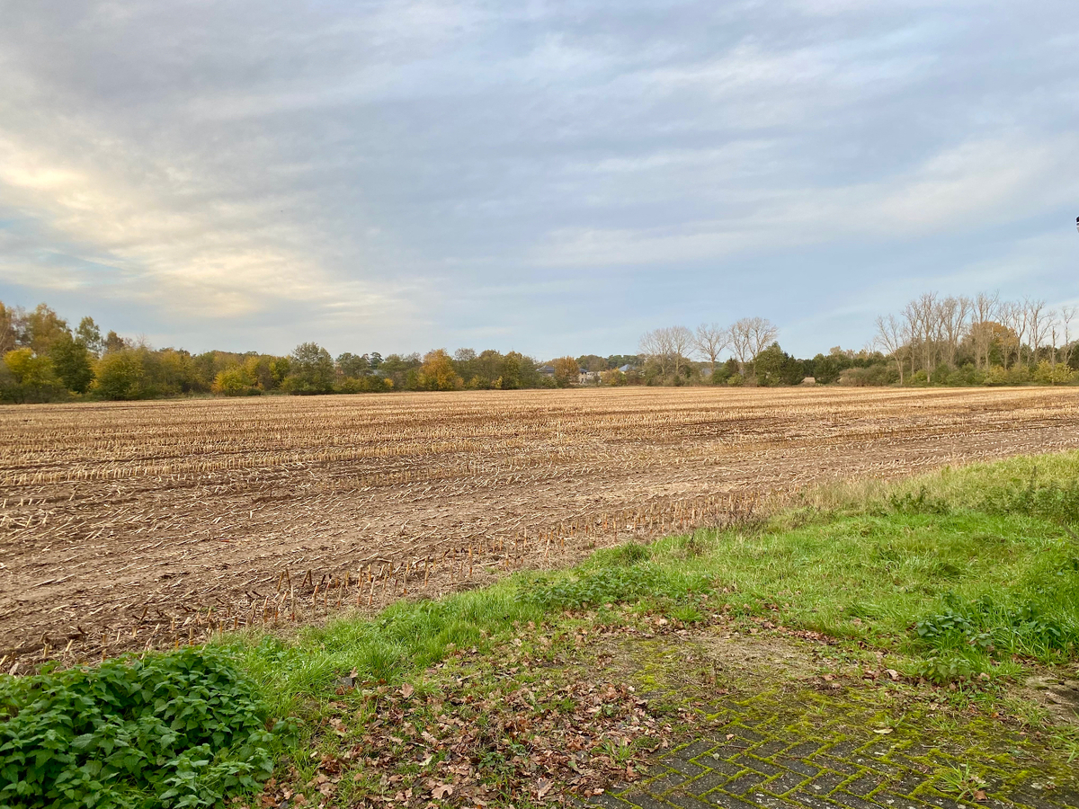 Farm sold in Heusden