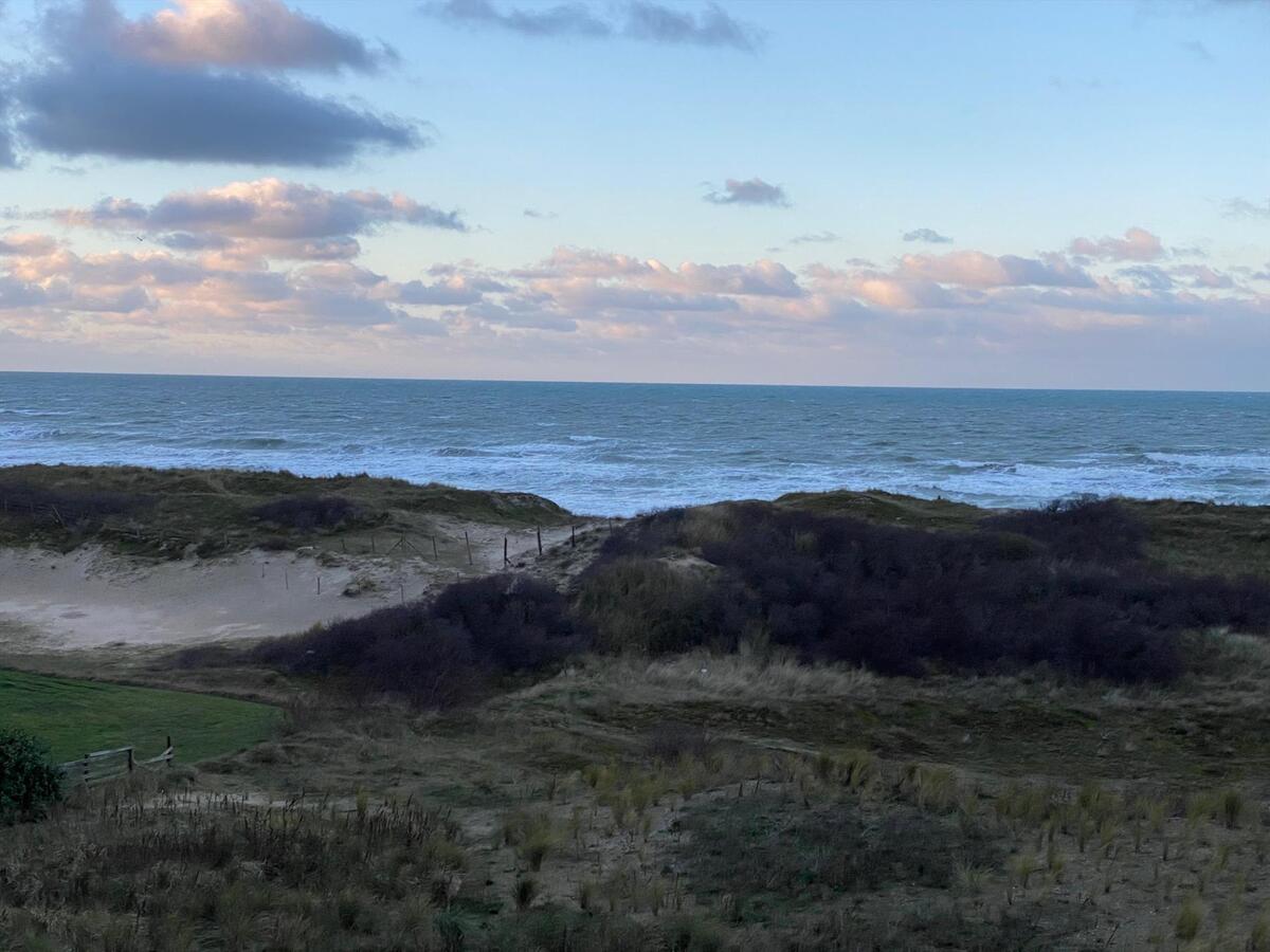 Nieuwbouw assistentiewoning te huur in De Panne 