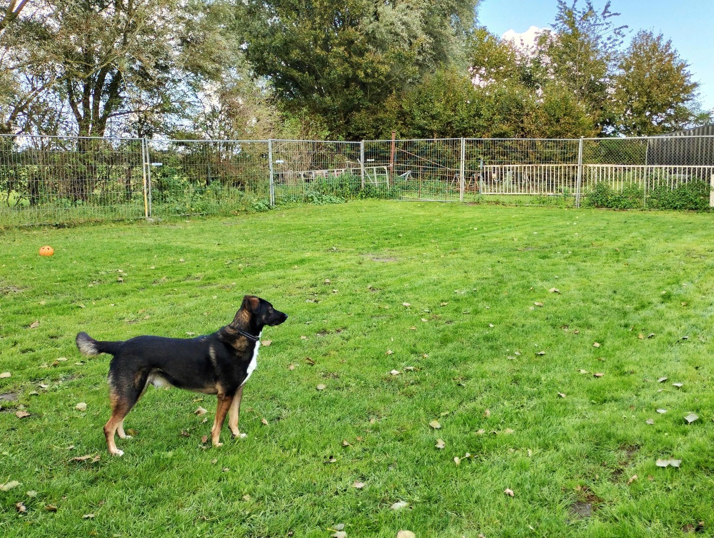 Landelijk wonen met vele mogelijkheden zo kan deze prachtige woonboerderij het beste worden omschreven! 