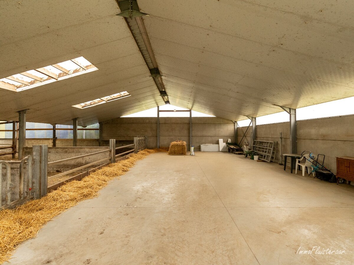 Maison spacieuse avec b&#226;timent d&#39;&#233;curie et prairies sur environ 3,8 hectares &#224; Berlaar. 