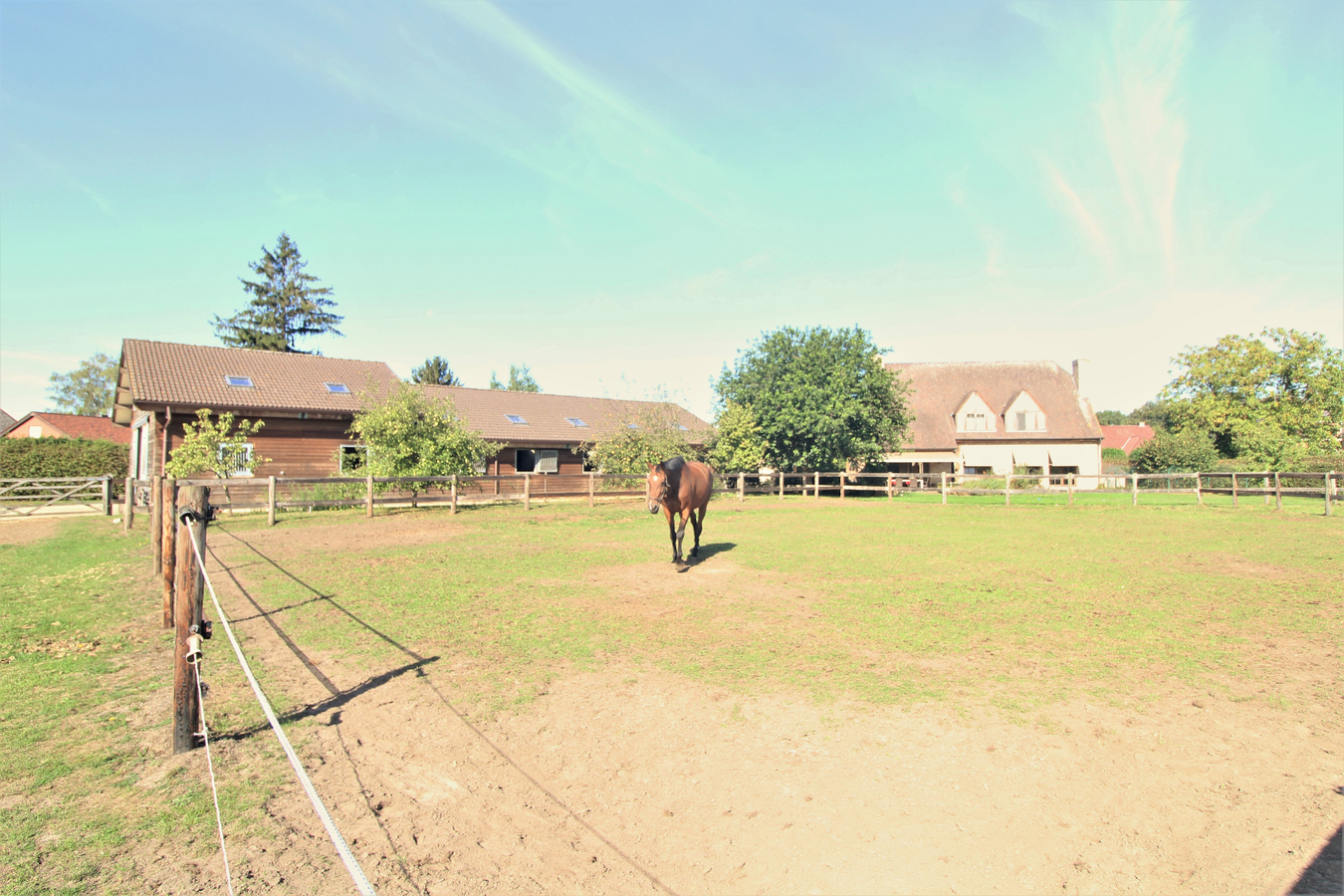 Exceptionally charming villa with horse accommodation and meadows on approximately 1,53ha in Keerberen (Flemish Brabant). 