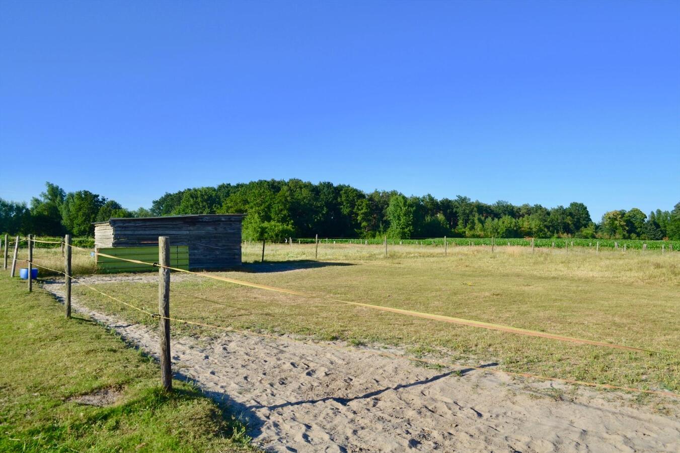 Unieke kans op paardenaccommodatie met binnenpiste (15m x 30m) en appartement op ca. 1,3 Ha te Waasmunster - NIEUWE PRIJS 