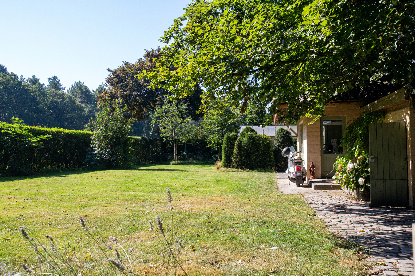 Vila with stable and indoor swimming pool in quiet location on approximately 7981m2 in Essen 
