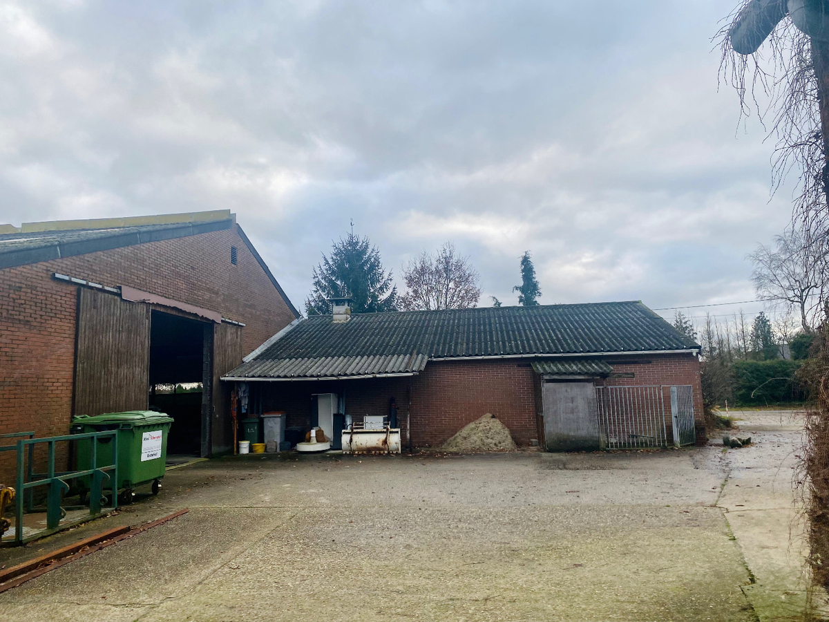 Boerderij met charmante woning, ruime stalgebouwen en weides te koop op ca. 8ha te Bocholt 