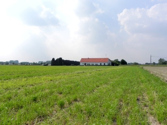 Grote langgevel hoeve met stallingen op ca. 1 ha 