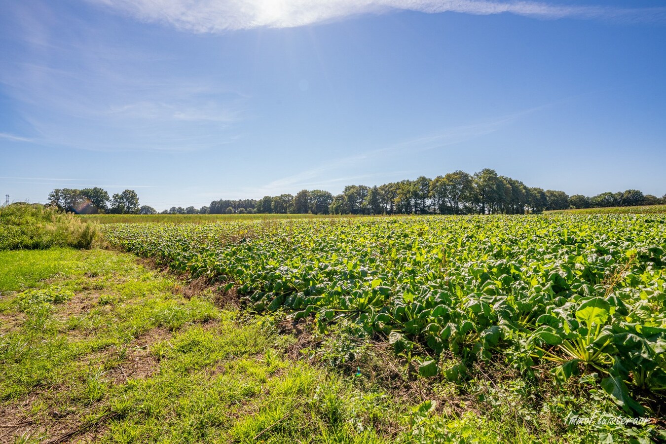 Ferme unique dans un emplacement exceptionnel sur environ 5 hectares &#224; Peer 