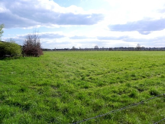 Woning met bijgebouwen en stallen op ca. 2,4 ha te Peer 