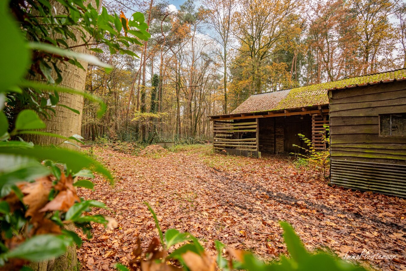 Charmante woning op een toplocatie te Zandhoven 