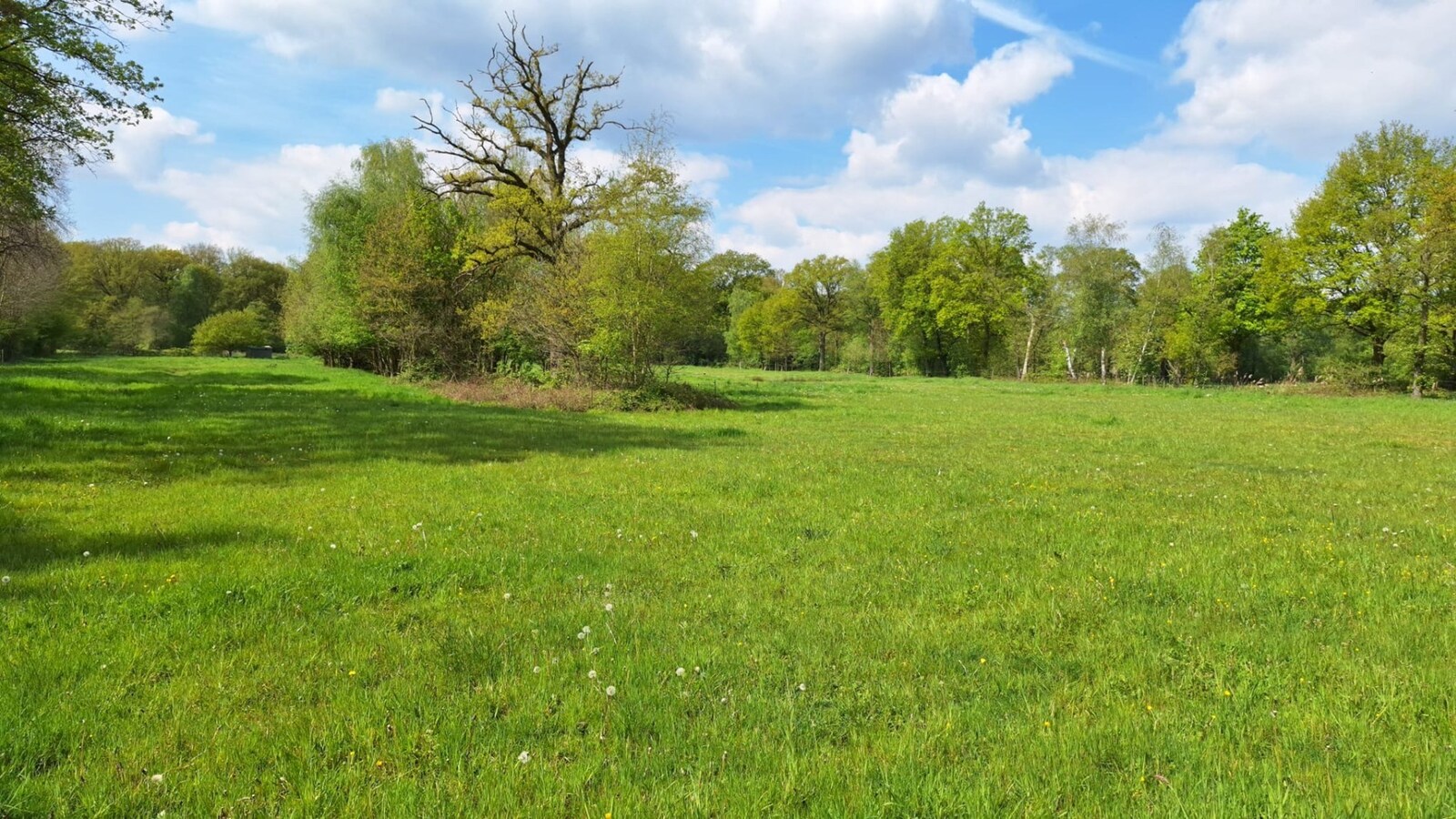 Weiland met schuilstal op ca. 1,32 ha te Neeroeteren 