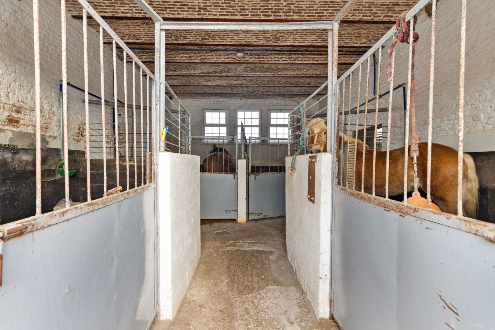 Te koop: Charmante boerderij met paardenstallen van 1ha op toplocatie in Boutersem - bewoonbare opp. 158 m&#178; (uitbreiding mogelijk) 