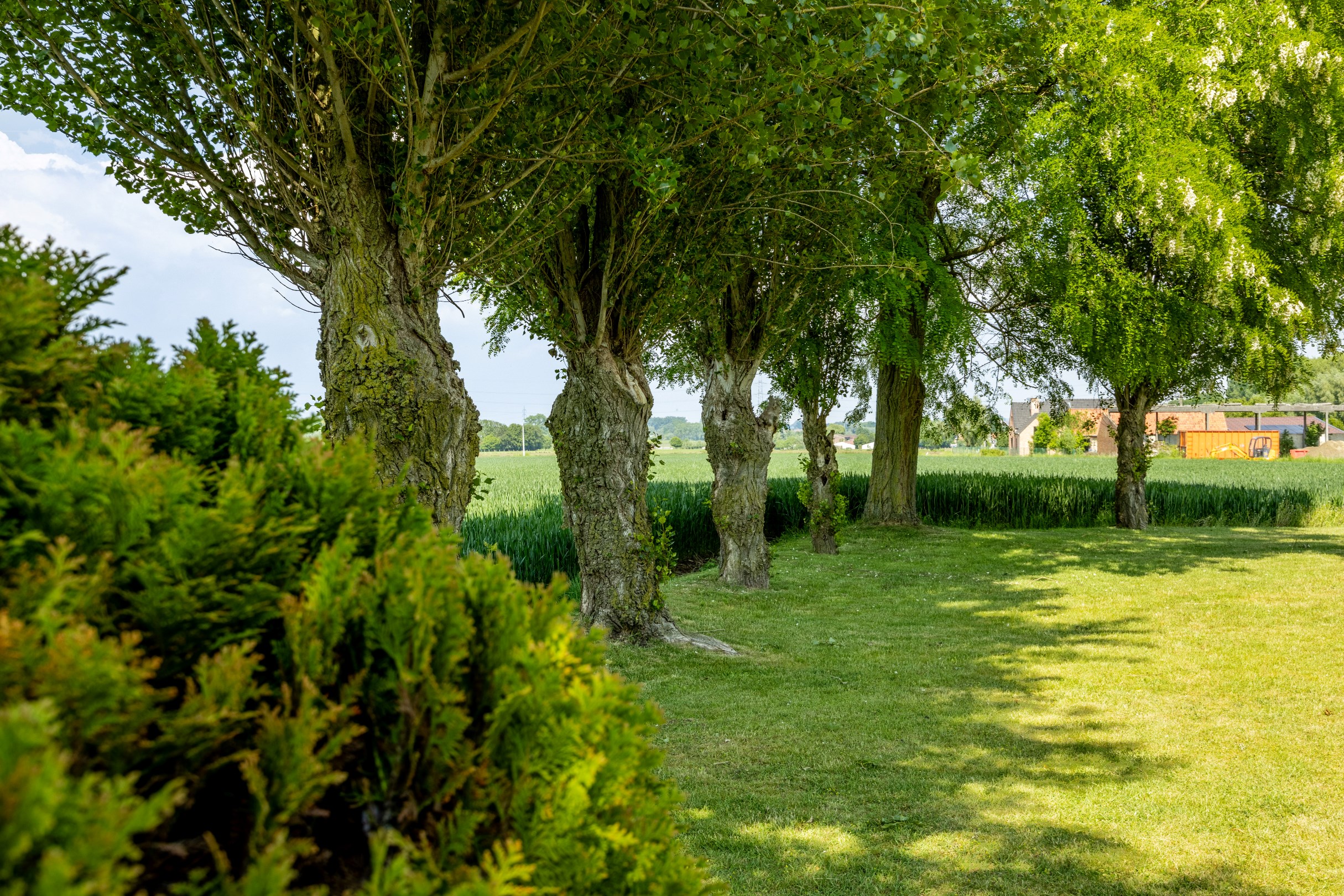LANDELIJK GELEGEN WONING OP 1.674 M&#178; 