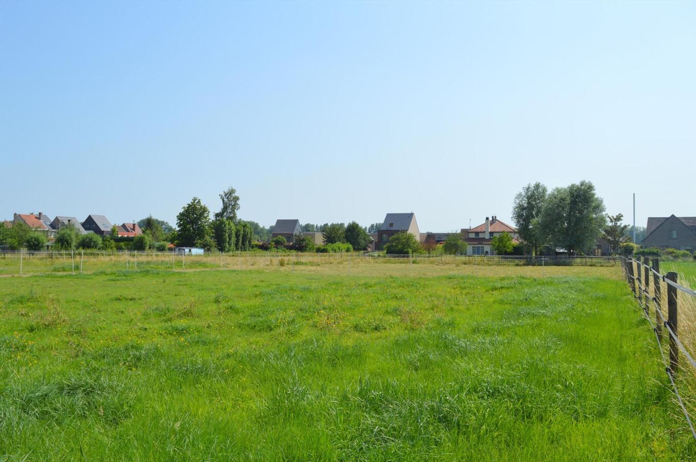 Gerenoveerde woning op ca. 6500m&#178; te Buggenhout 