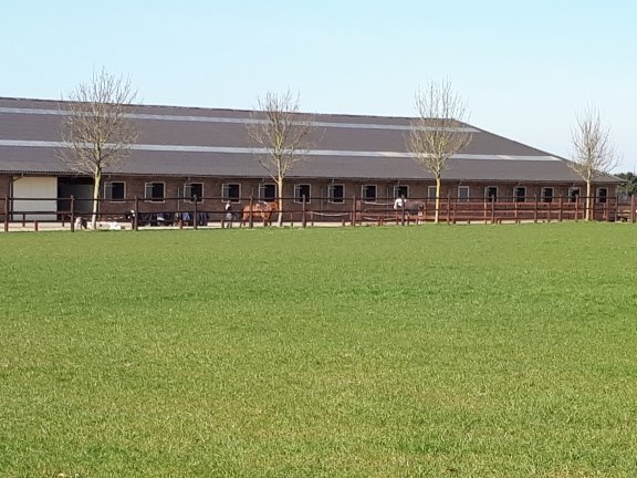 Luxueus landhuis met hippisch complex op ca. 2,7 ha te Ulestraten (NL) 