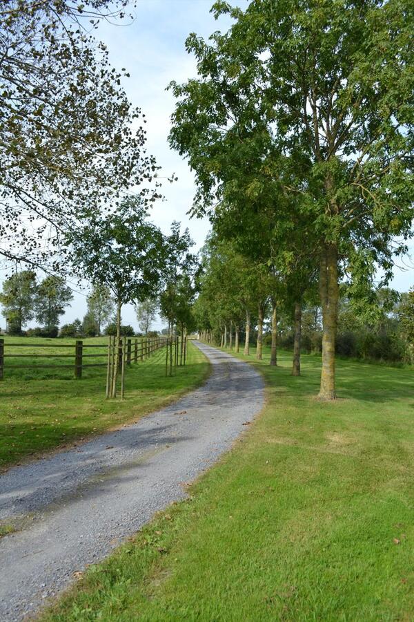 Prachtige kustpolderhoeve op ca. 5,35Ha regio Veurne (W-Vl) 