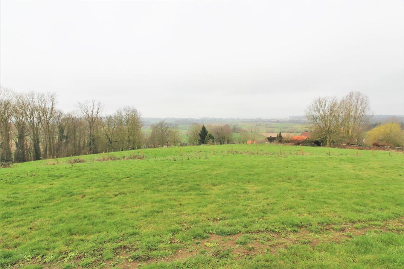 IN OPTIE - Woning met stalgebouw, buitenpiste en weilanden op ca. 1,8ha te Galmaarden (Vlaams-Brabant) 