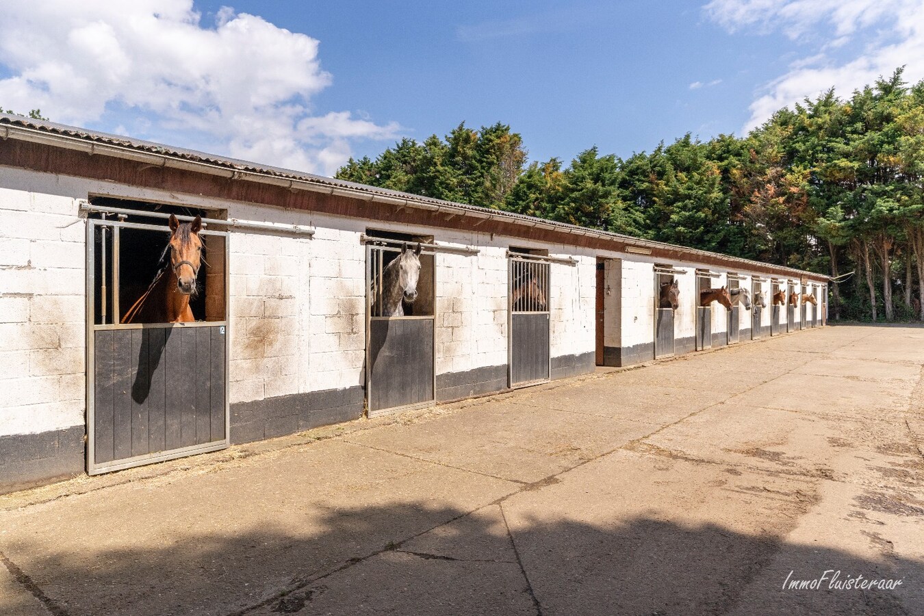 Paardenaccommodatie met 46 stallen, buitenpiste en hangaar op ca. 55 are te Linkhout (Lummen) 