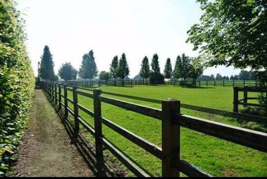 Land sold in Rijkevorsel