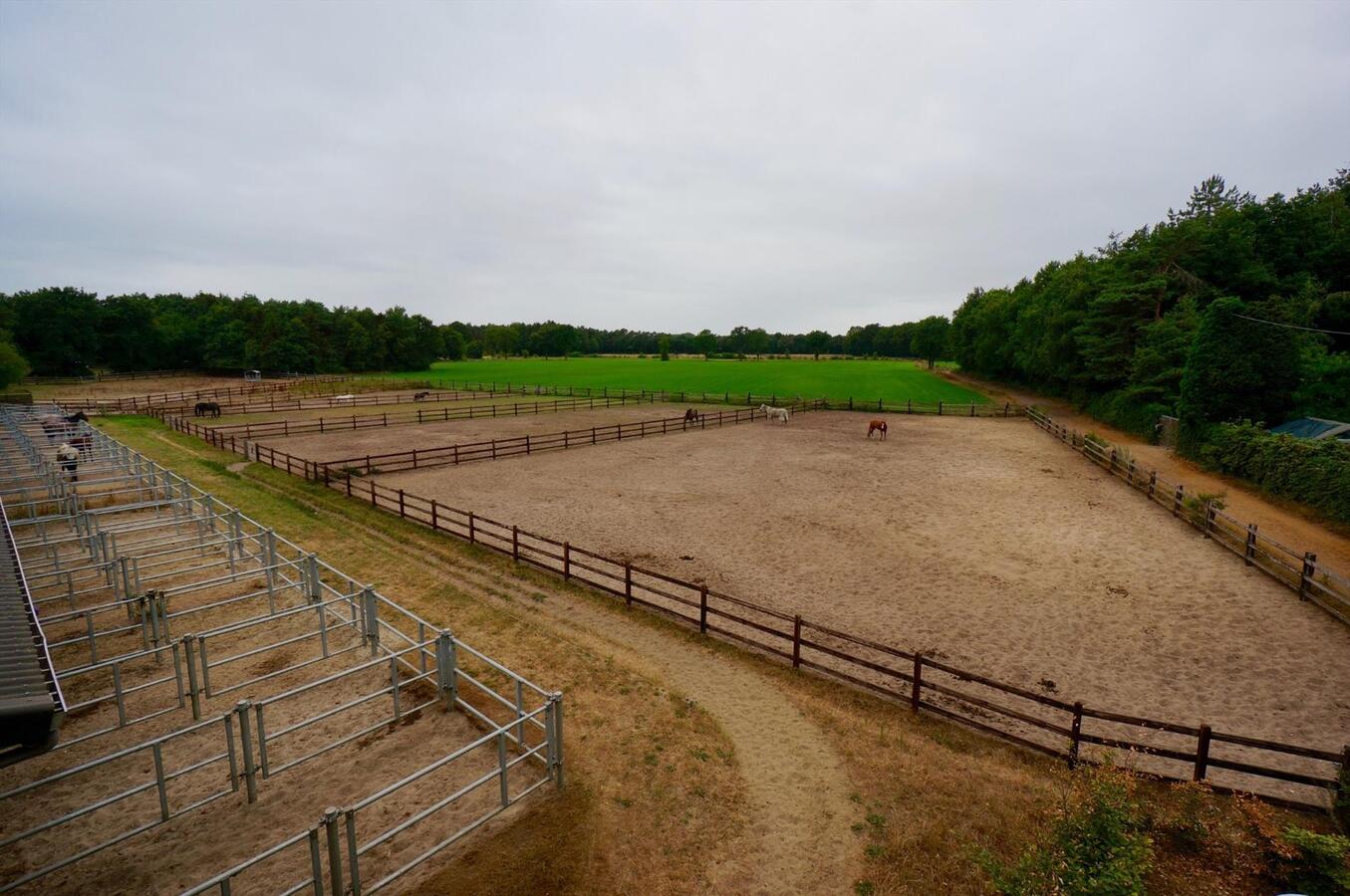 Hippische accommodatie te Lille op ca. 5,8 ha 